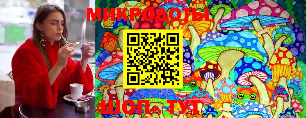 Галлюциногенные грибы Cubensis  Псилоцибиновые грибы MAGIC MUSHROOMS  Северск  Вход с VPN 