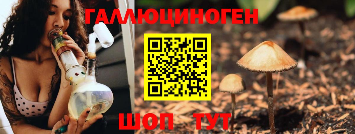 Галлюциногенные грибы мухоморы  Северск  Галлюциногенные грибы Magic Shrooms 
